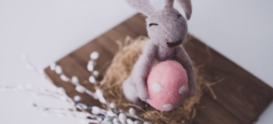 Plush Bunny Toy